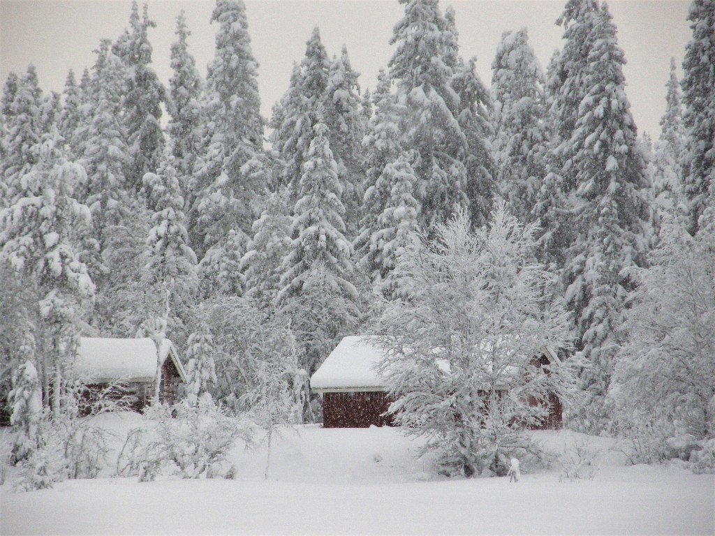 Myrflon 2012 072.jpg